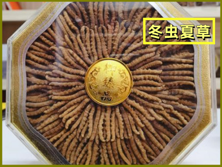 北屯回收冬虫夏草